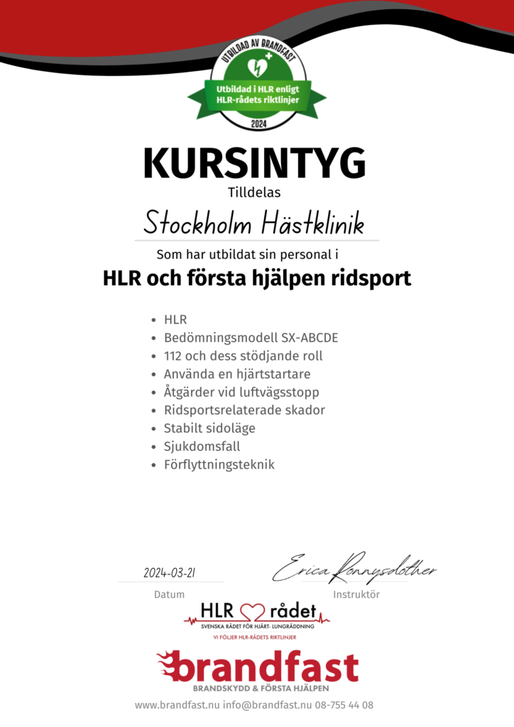 första hjälpen kursintyg ridsport
