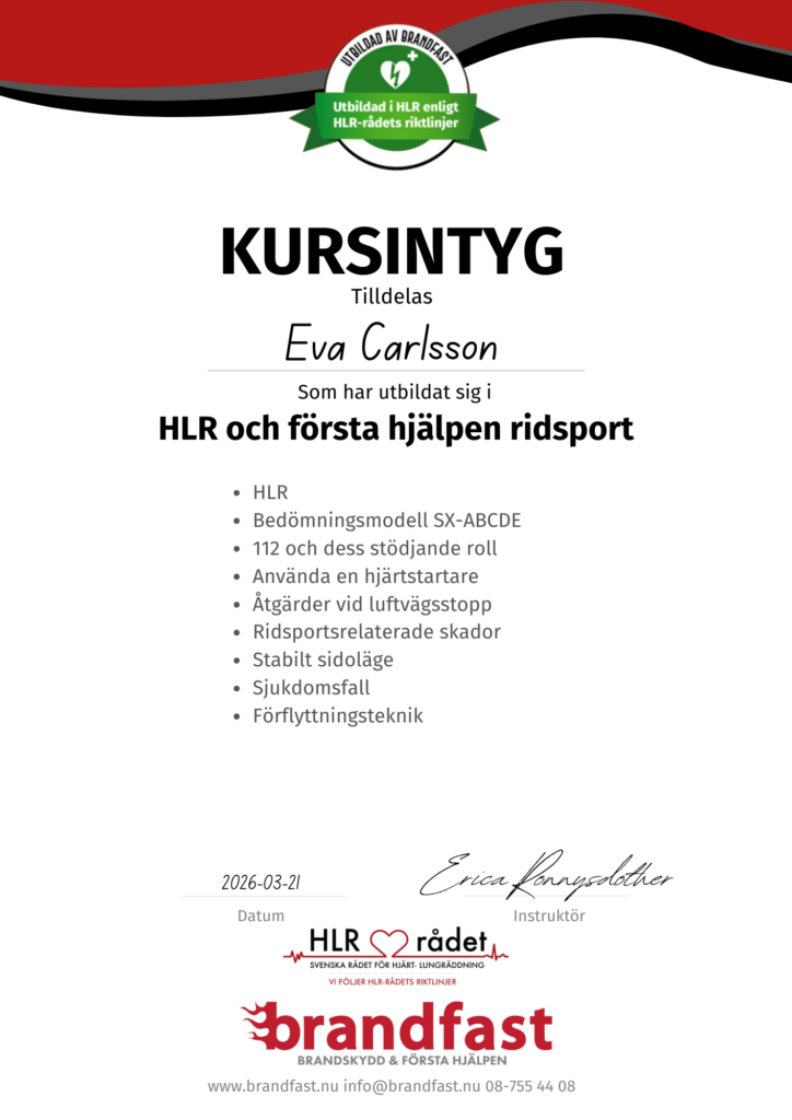 kursintyg första hjälpen ridsport