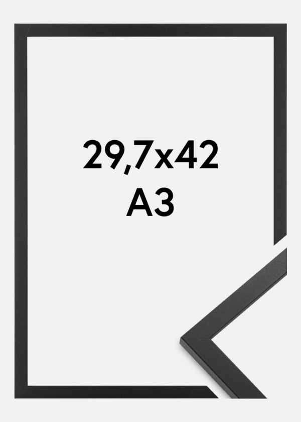Ram A3