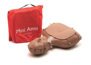 mini anne plus